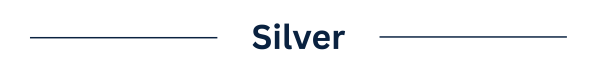 Silver Logo